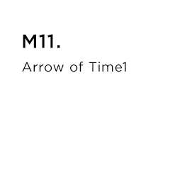 M11.Arrow of Time1